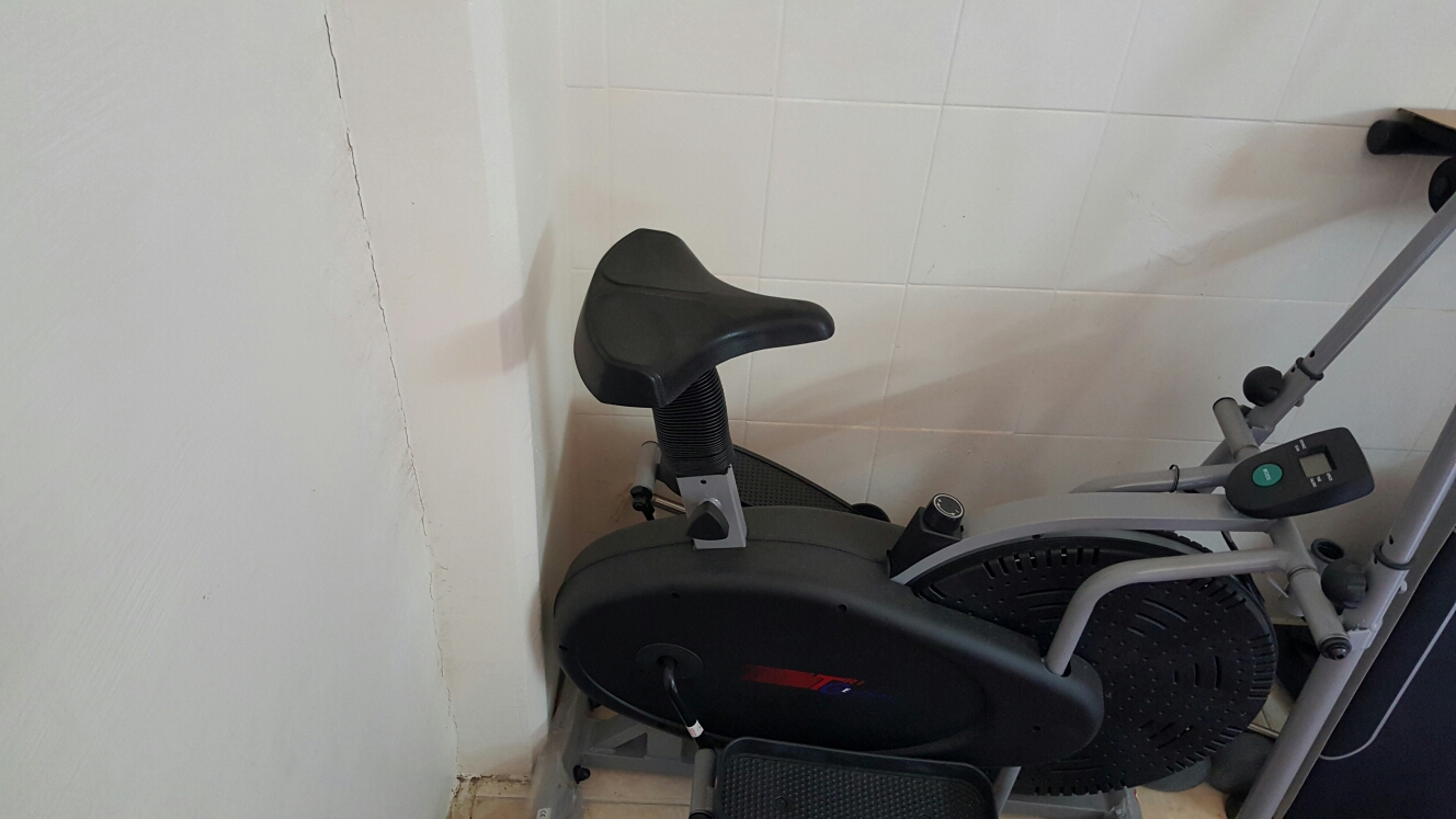 الغزال الطائر