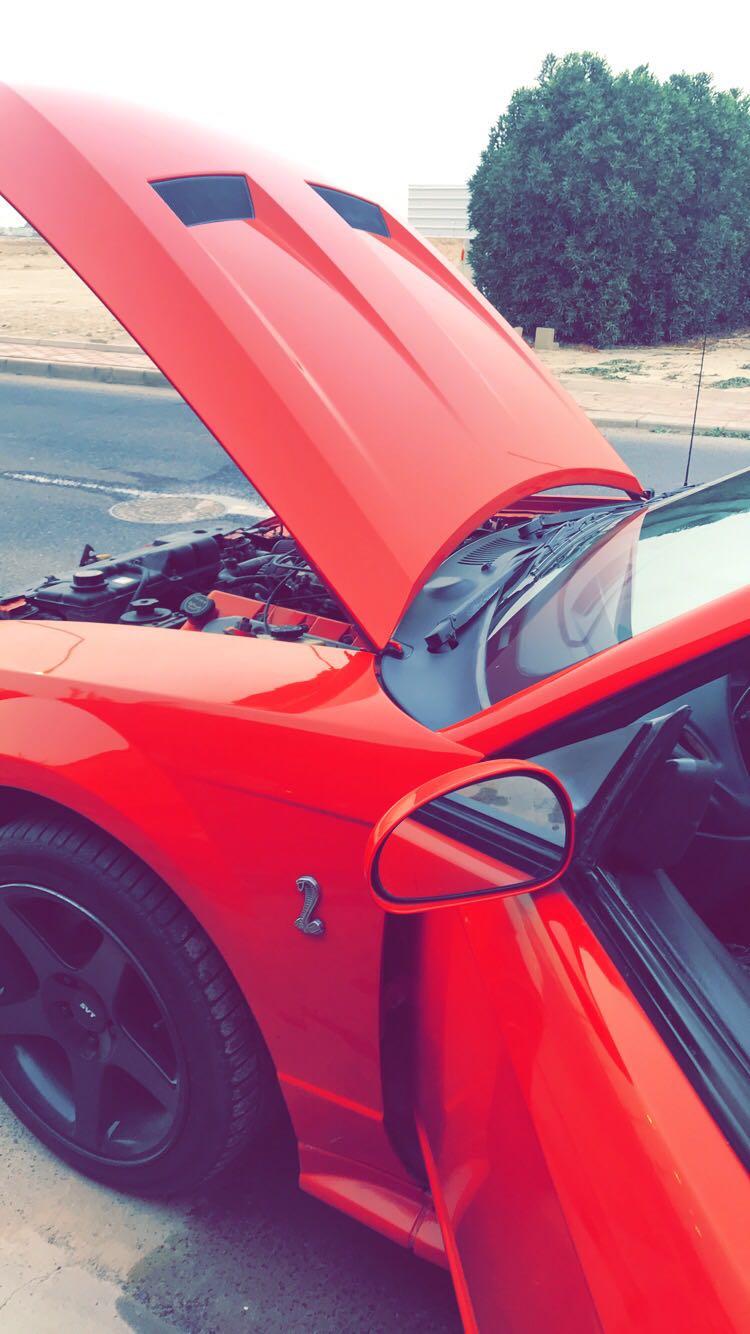 موستنق كوبرا svt أصلي