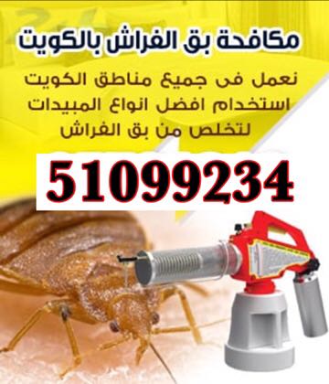 مكافحة حشرات - مكافحة جميع الحشرات والقضاءعلى البق نهائيابدون رائحه اومغادرة المنزل. القضاءعلى زهيوى المطبخ باالعجينه الاصليه والقضاءعلى جميع الحشرات والقوارض.