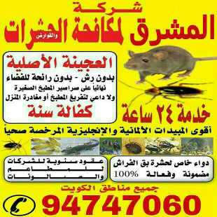 مكافحة حشرات وقوارض 