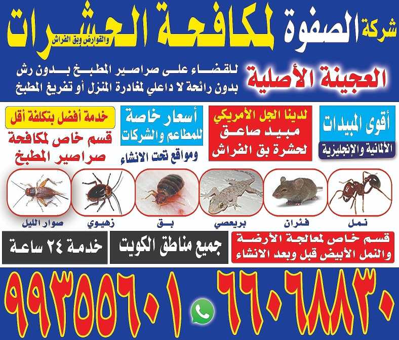 مكافحة حشرات وقوارض بإرخص الأسعار بدون رائحة للحفاظ على سلامتك 