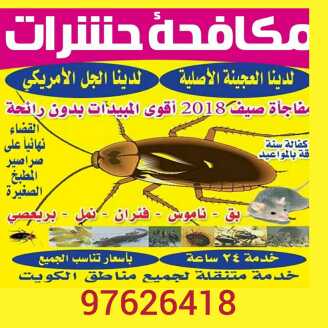 مكافحة حشرات واقوارض لدينا جميع المبيدات الالمانيه واالمركيه 