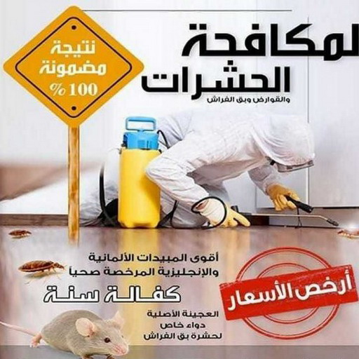 مكافحة حشرات حولي - بالكويت 99114313 - مكافحة حشرات الكويت - شركة مكافحة حشرات - رقم مكافحة حشرات - مكافحة حشرات الجهراء - مكافحة حشرات رخيص - مكافحة حشرات وقوارض