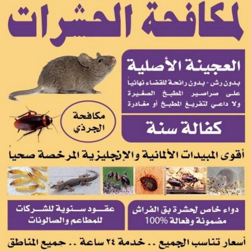 مكافحة قوارض - مكافحة حشرات وقوارض - الاتصال 99663955 - شركة حشرات - مكافحة حشرات - شركة مكافحة حشرات - مكافحة بق - مكافحة حشرات الجهراء - مكافحة حشرات الكويت