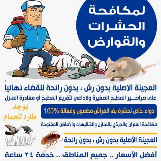 مكافحة قوارض - مكافحة حشرات وقوارض - الاتصال 99663955 - شركة حشرات - مكافحة حشرات - شركة مكافحة حشرات - مكافحة بق - مكافحة حشرات الجهراء - مكافحة حشرات الكويت