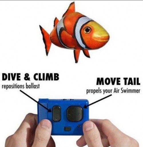 سمكة النيمو الطائرة