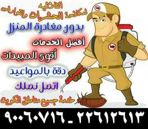 مكافحة الحشرات والقوارض 