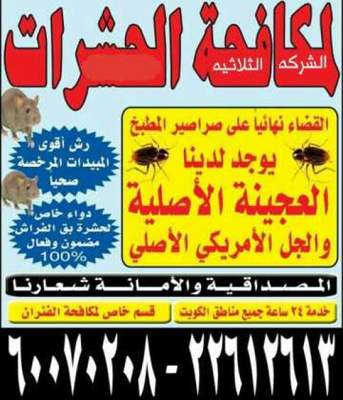 مكافحة الحشرات والقوارض 