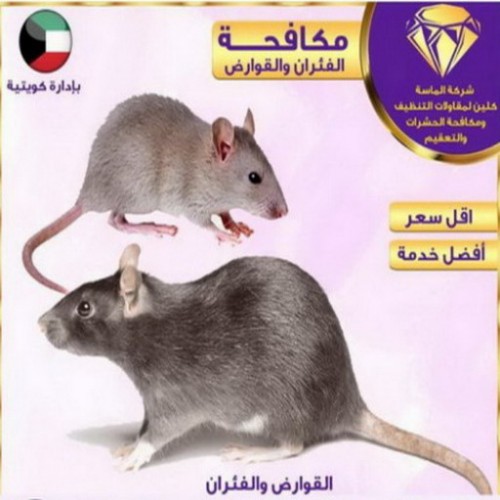 مكافحة بريعصي - بالكويت 99114313 - مكافحة حشرات الكويت - شركة مكافحة حشرات - رقم مكافحة حشرات - مكافحة حشرات الجهراء - مكافحة حشرات رخيص - مكافحة حشرات وقوارض
